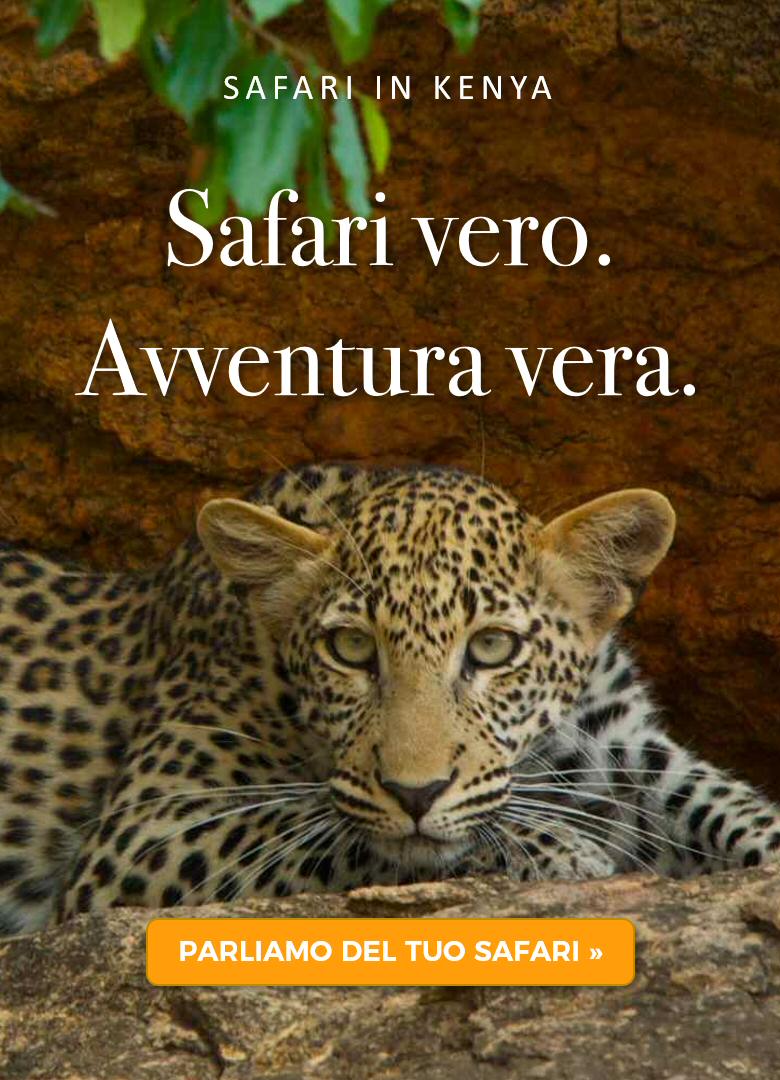 Safari vero. Avventura vera. Safari guidati in Kenya Safari vero. Avventura vera. Safari guidati in Kenya