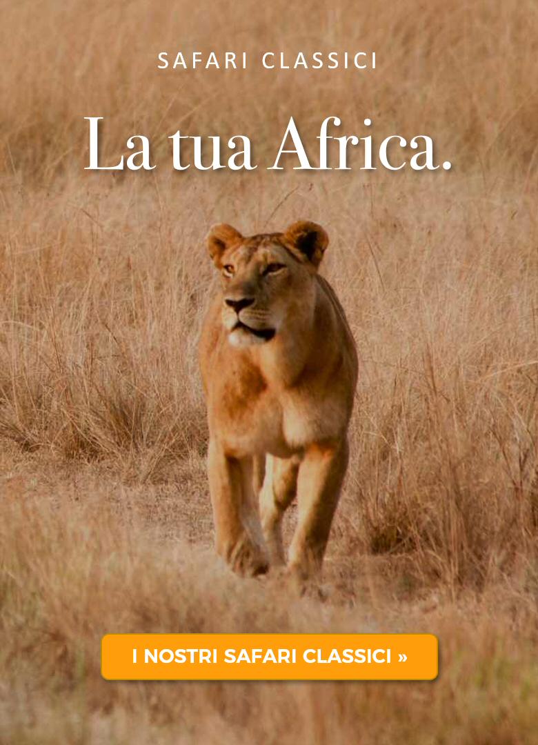 La tua Africa - i nostri safari classici in Kenya La tua Africa - i nostri safari classici in Kenya