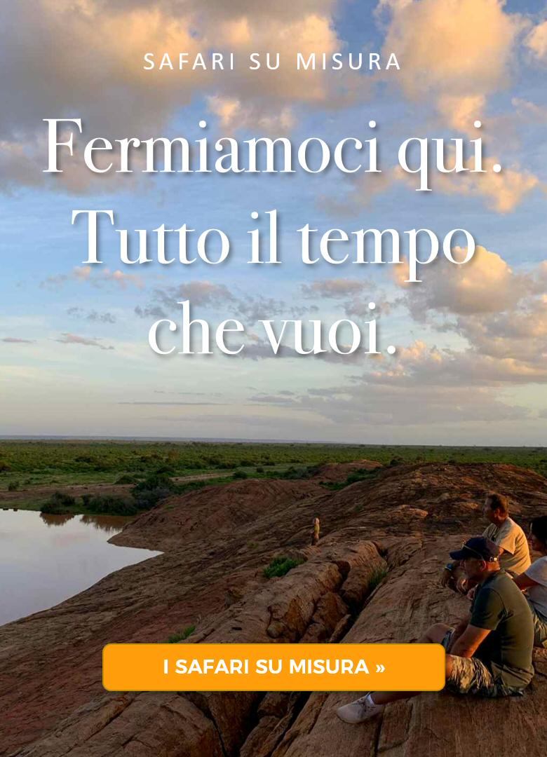 Fermiamoci tutto il tempo che vuoi - Safari su misura in Kenya Fermiamoci tutto il tempo che vuoi - Safari su misura in Kenya