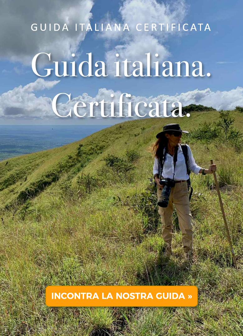 Safari in Kenya con guida italiana certificata Safari in Kenya con guida italiana certificata