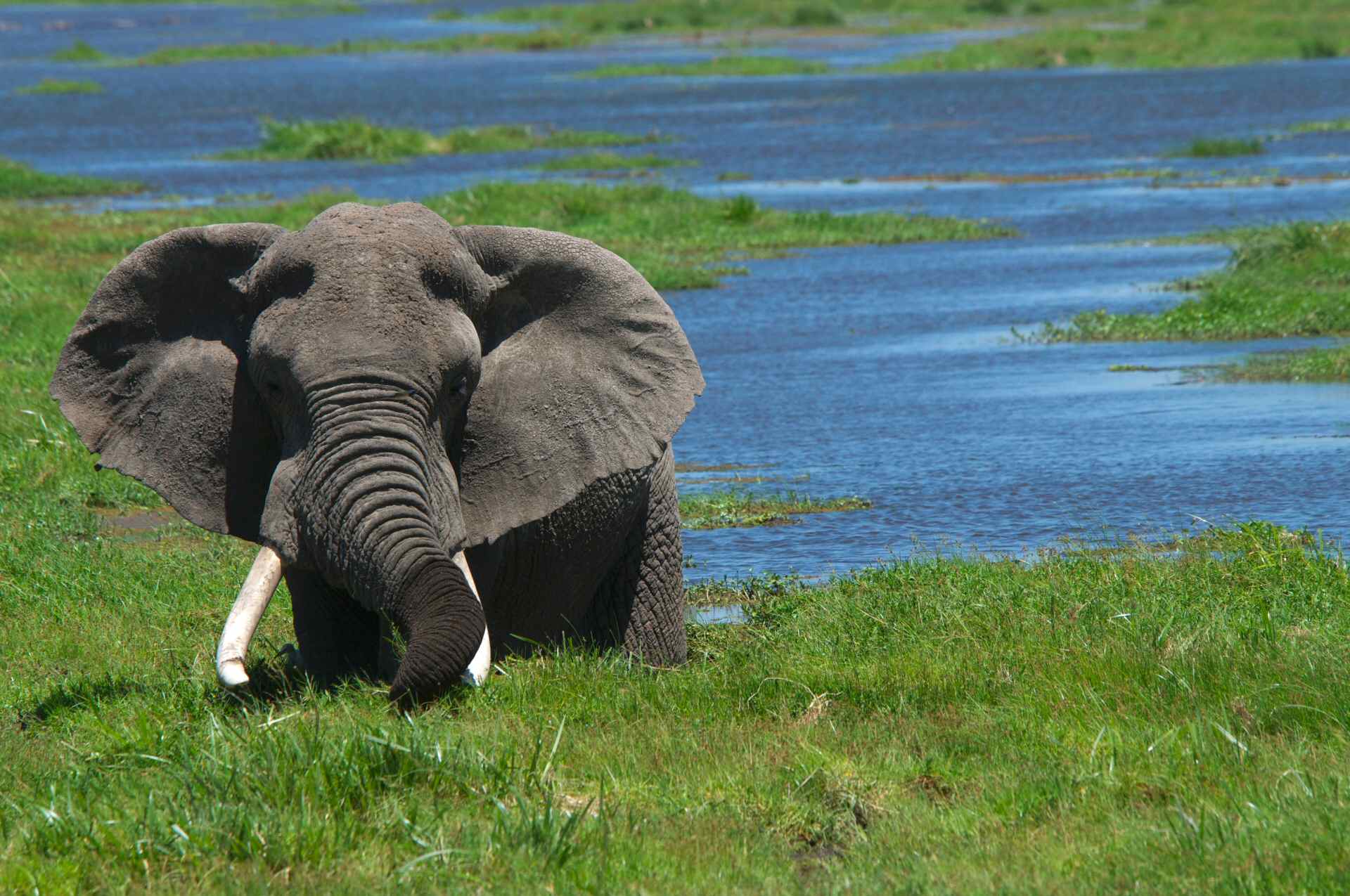 Il Kenya è la meta migliore per un safari in Africa.