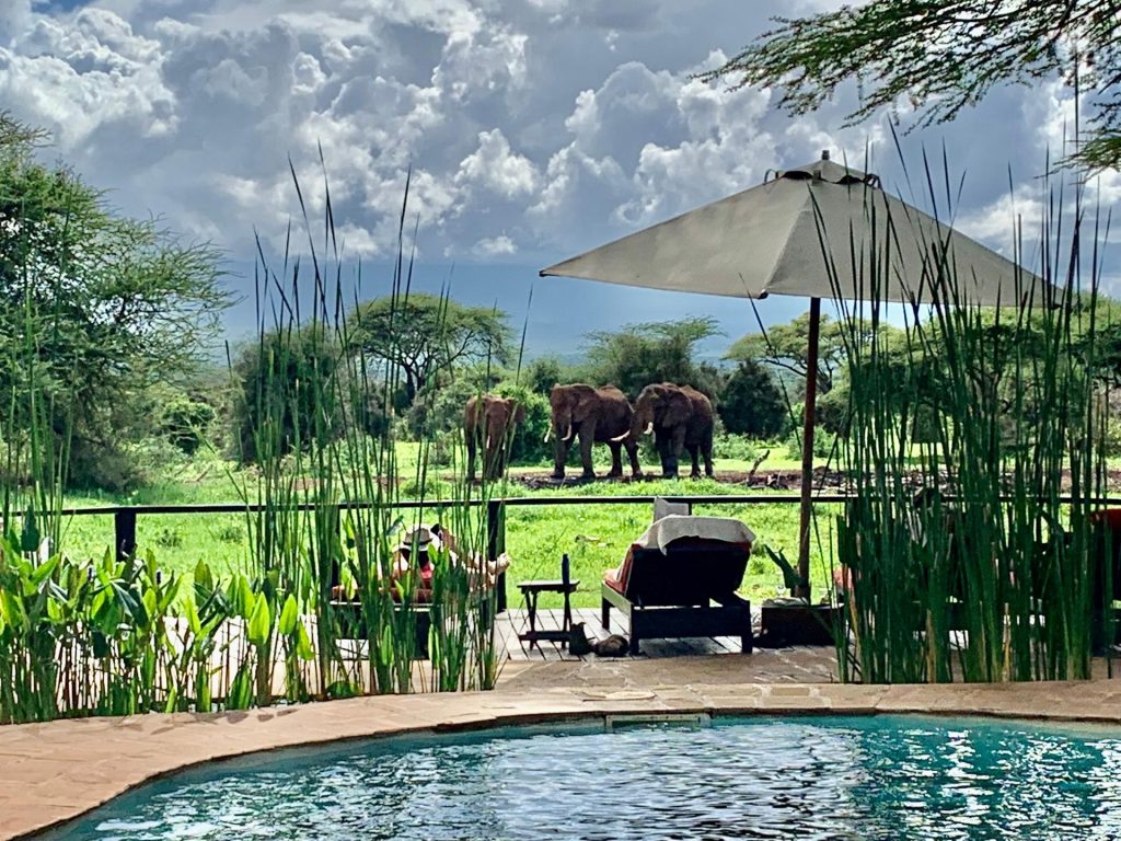 Lodge con vista elefanti a Amboseli