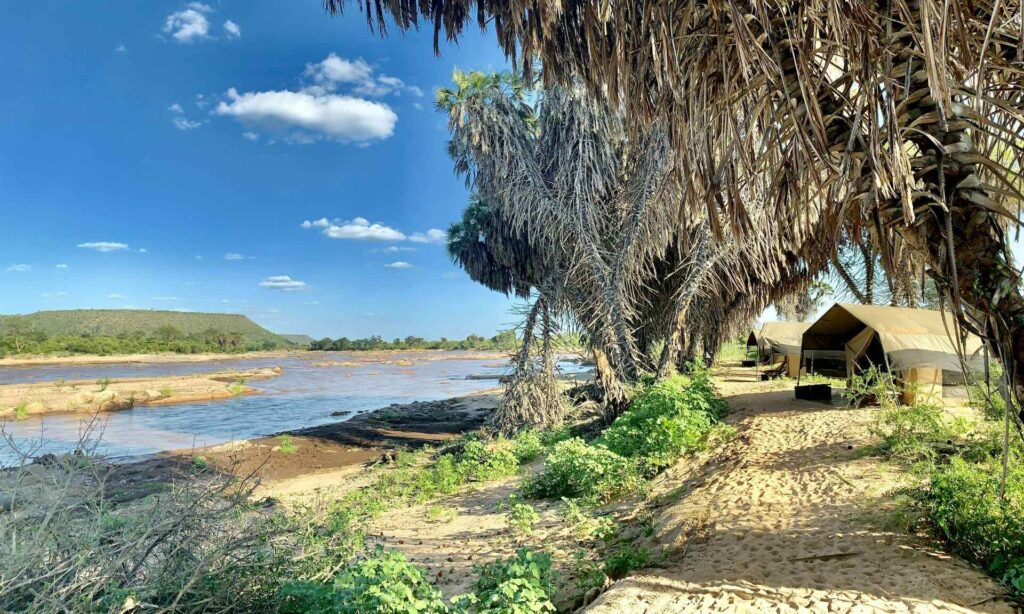 Itinerari safari a Tsavo in campo tendato con guida italiana