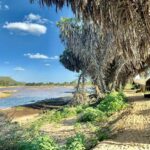 Itinerari safari a Tsavo in campo tendato con guida italiana
