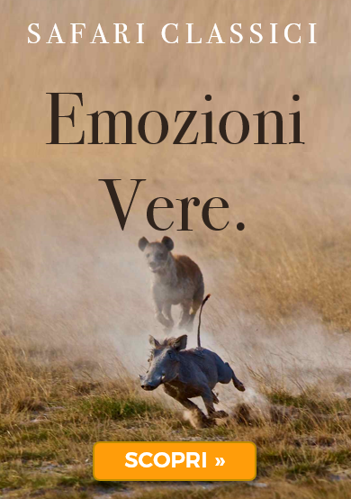 Safari classici - Emozioni vere