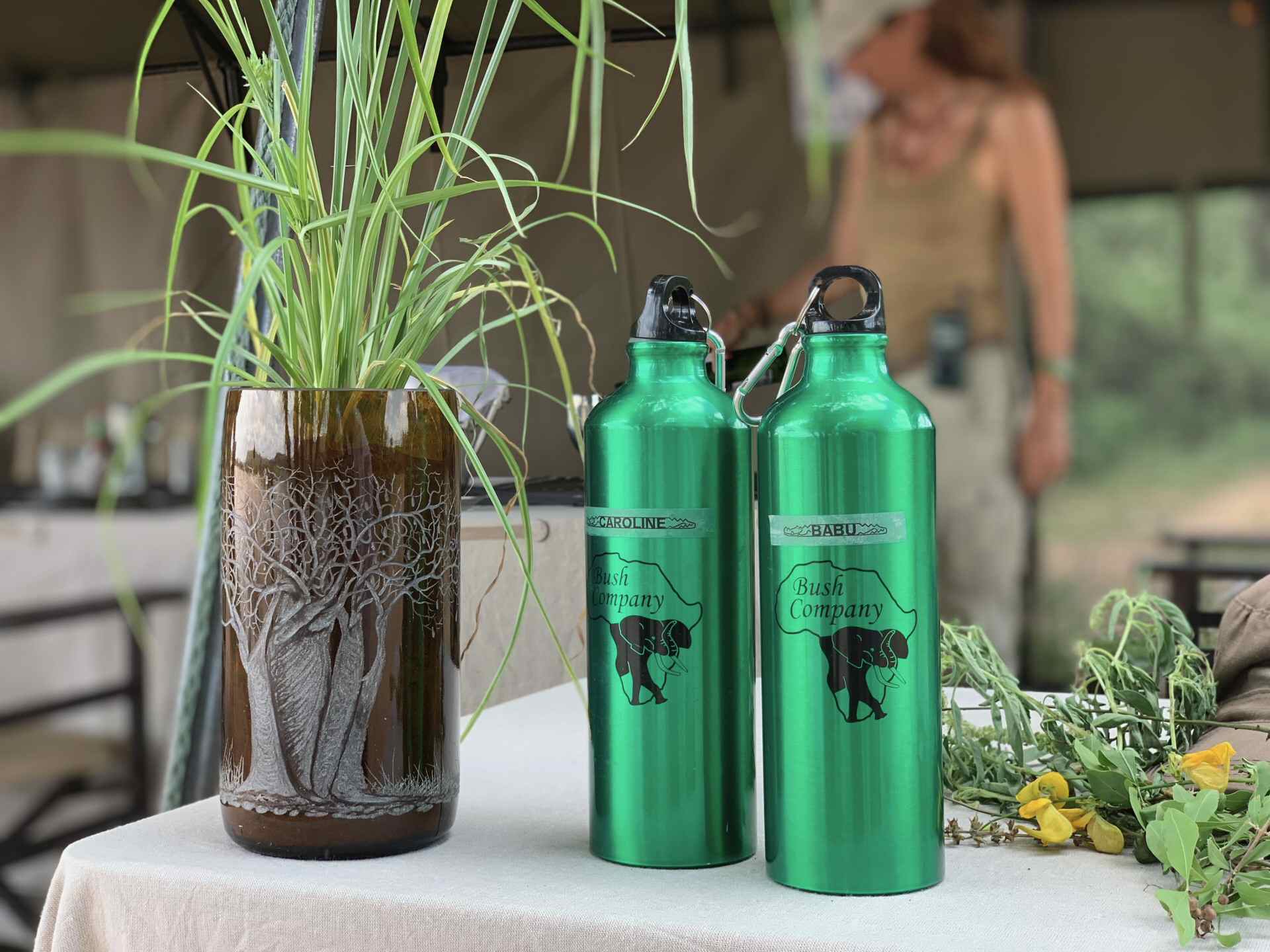 Un safari eco-friendly Un safari eco-friendly