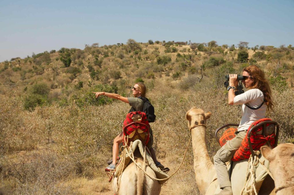 Custom Safari in Kenya