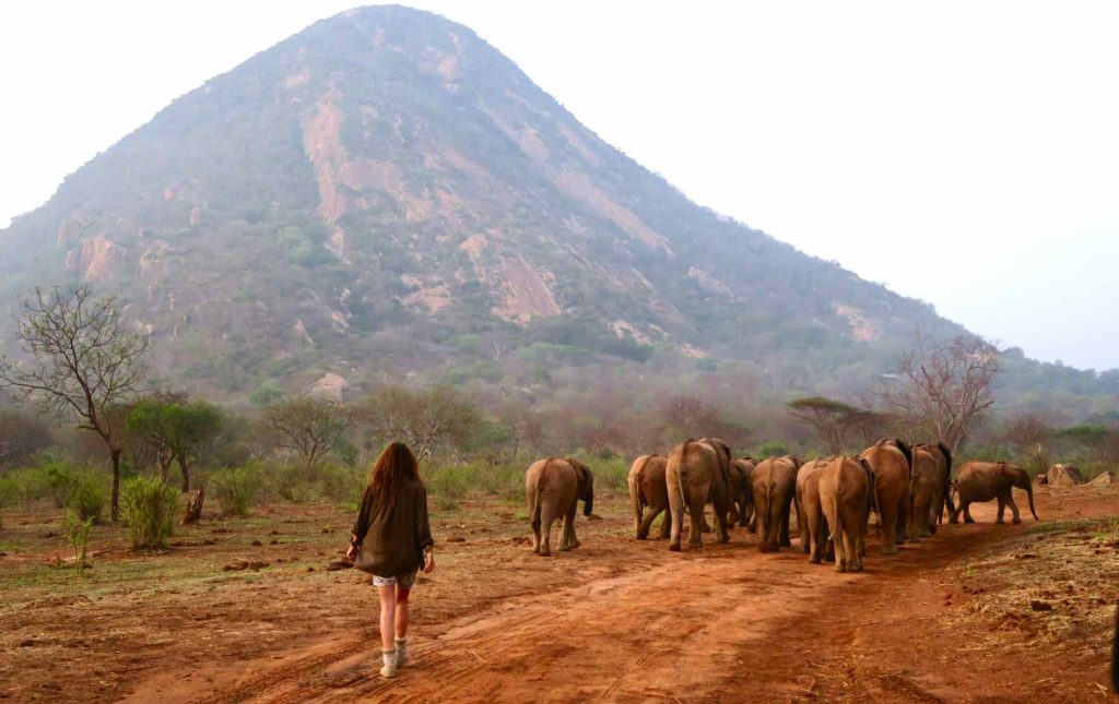 Safari con guida certificata