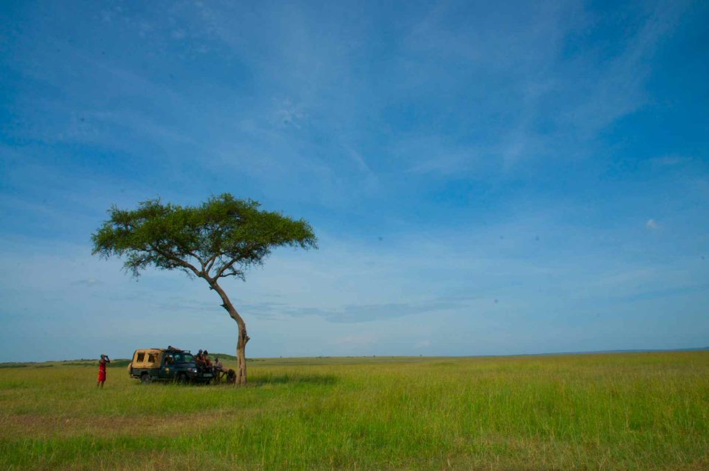 Safari in Kenya su misura