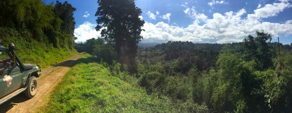 Chiedi un preventivo per il tuo safari in Kenya