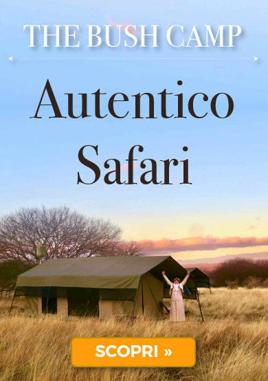 The Bush Camp - Autentico safari