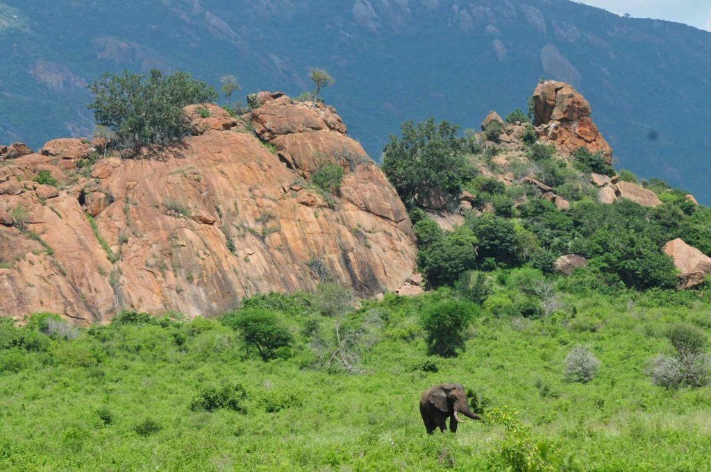Chyulu hills a Tsavo Ovest