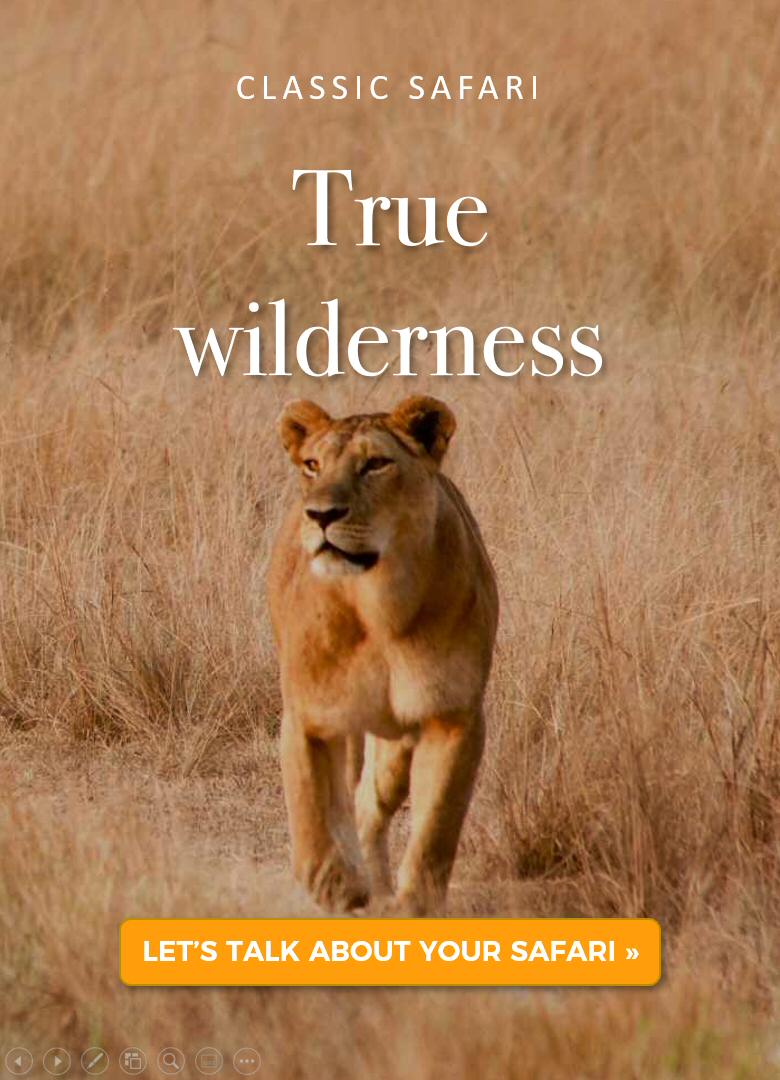 Safari Kenya: true wilderness