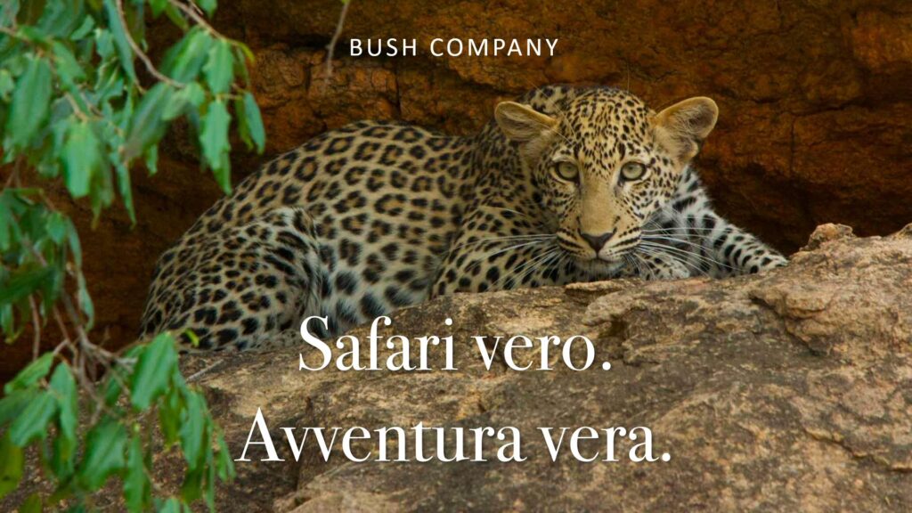 Bush Company: Safari vero, avventura vera.