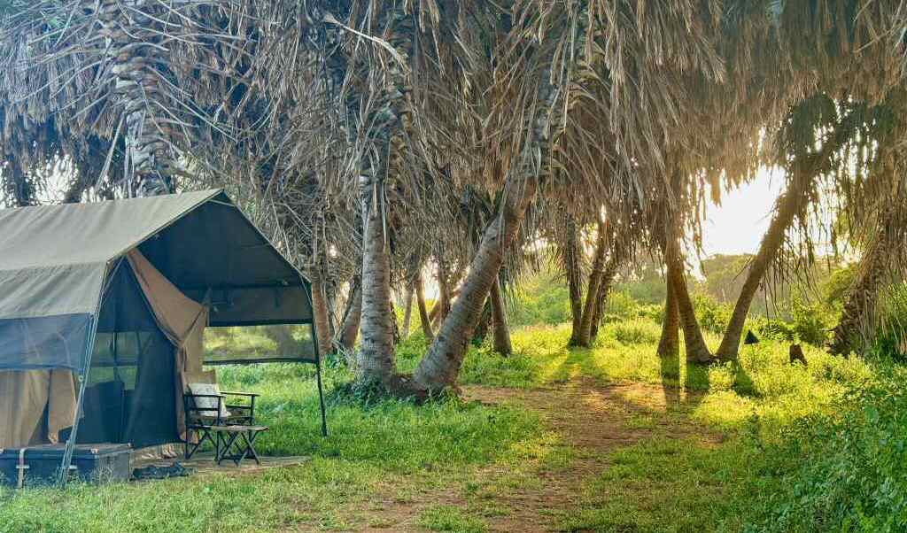 Costo safari Kenya in campo tendato mobile