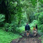 Quale periodo migliore per safari kenya