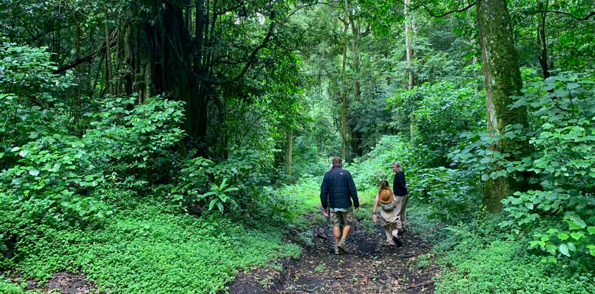 Quale periodo migliore per safari kenya