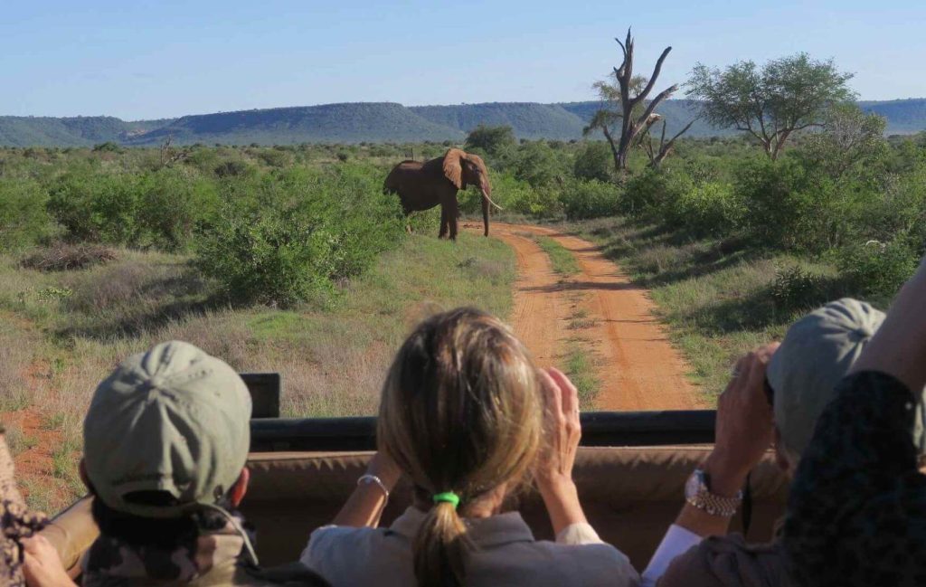 Quale è il periodo migliore per un safari in Kenya