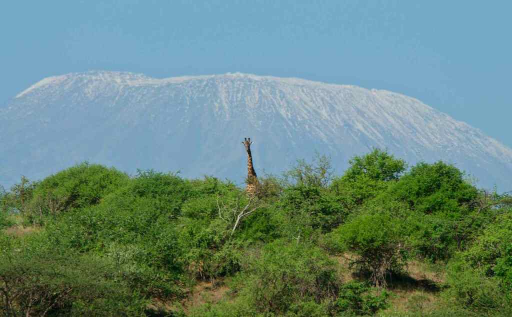 Consigli per un Safari Kenya lontano dal turismo di massa