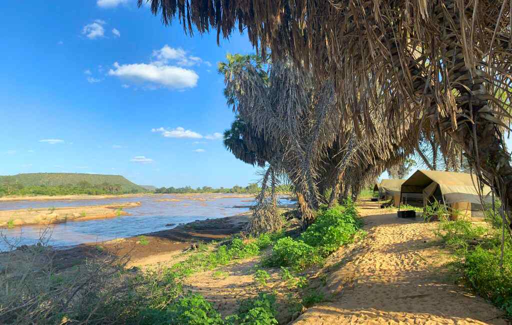 Consigli per un Safari Kenya lontano dal turismo di massa