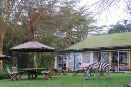 safari-lago-naivasha-03-0684