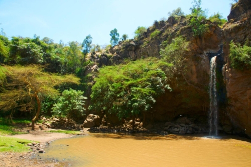 safari-nakuru-10-9552